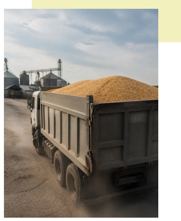 Перевозка сельхозпродукции навалом в Верхнюю Пышму по цене от 3078 р. | Агросервис-Врх