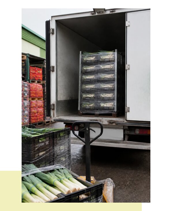 Перевозка лука порея в Верхнюю Пышму с соблюдением температурного режима